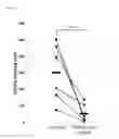 Fig. 10 - Antimicrobial compositions and methods for reducing microbial contamination