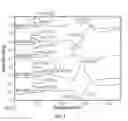 Fig. 04 - MULTIDRUG BRITTLE MATRIX COMPOSITIONS