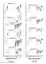 Fig. 07 - MULTIDRUG BRITTLE MATRIX COMPOSITIONS