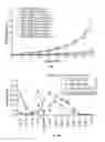 Fig. 08 - MULTIDRUG BRITTLE MATRIX COMPOSITIONS