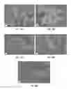 Fig. 12 - MULTIDRUG BRITTLE MATRIX COMPOSITIONS
