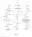 Fig. 06 - Antimicrobials and methods of use thereof