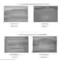 Fig. 16 - Antimicrobials and methods of use thereof