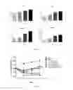 Fig. 02 - Use of andrographolide derivatives in preparation of medicaments for preventing and treating inflammatory bowel diseases