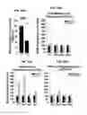 Fig. 16 - PAR1 MODULATION TO ALTER MYELINATION