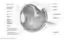 Fig. 01 - DO stabilized pharmaceutical formulations