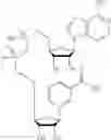 Fig. 367 - Nicotinamide mononucleotide derivatives and their uses