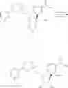 Fig. 372 - Nicotinamide mononucleotide derivatives and their uses