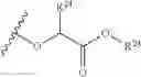 Fig. 80 - Nicotinamide mononucleotide derivatives and their uses