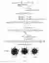 Fig. 02 - METHOD OF SUPPRESSING INFLAMMATION AND PROMOTING REPAIR OF INJURED NEURAL TISSUES WITH CARBOXYL-FUNCTIONALIZED POLYURETHANE NANOPARTICLES