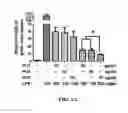 Fig. 03 - METHOD OF SUPPRESSING INFLAMMATION AND PROMOTING REPAIR OF INJURED NEURAL TISSUES WITH CARBOXYL-FUNCTIONALIZED POLYURETHANE NANOPARTICLES
