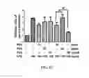 Fig. 05 - METHOD OF SUPPRESSING INFLAMMATION AND PROMOTING REPAIR OF INJURED NEURAL TISSUES WITH CARBOXYL-FUNCTIONALIZED POLYURETHANE NANOPARTICLES