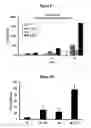 Fig. 20 - Methods for culturing and/or differentiating hematopoietic stem cells into progenitors and uses thereof