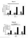 Fig. 23 - Methods for culturing and/or differentiating hematopoietic stem cells into progenitors and uses thereof