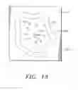 Fig. 13 - Compositions and methods for treatment of cardiovascular disorders