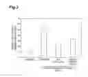 Fig. 04 - Honey fraction