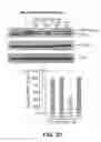Fig. 05 - Inhibitors of mitochondrial fission and methods of use thereof