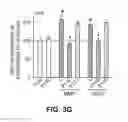 Fig. 12 - Inhibitors of mitochondrial fission and methods of use thereof