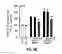Fig. 17 - Inhibitors of mitochondrial fission and methods of use thereof