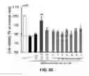 Fig. 22 - Inhibitors of mitochondrial fission and methods of use thereof