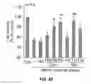 Fig. 23 - Inhibitors of mitochondrial fission and methods of use thereof