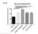 Fig. 09 - BTN3A ECTODOMAIN PROTEINS AND METHODS OF USE