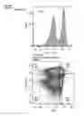 Fig. 19 - BTN3A ECTODOMAIN PROTEINS AND METHODS OF USE