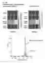 Fig. 26 - BTN3A ECTODOMAIN PROTEINS AND METHODS OF USE