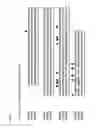 Fig. 30 - BTN3A ECTODOMAIN PROTEINS AND METHODS OF USE