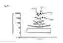 Fig. 32 - BTN3A ECTODOMAIN PROTEINS AND METHODS OF USE