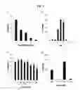 Fig. 02 - Endolysins Active Against Staphylococcus Bacteria, Pharmaceutical Compositions, and Methods Relating Thereto
