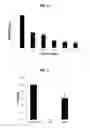 Fig. 05 - Endolysins Active Against Staphylococcus Bacteria, Pharmaceutical Compositions, and Methods Relating Thereto