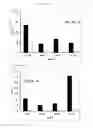Fig. 22 - TUMOR ANTIGEN PEPTIDE