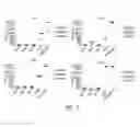 Fig. 06 - ANTI-ROR1 CHIMERIC ANTIGEN RECEPTORS