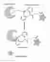 Fig. 01 - Chemoselective modification of a carrier protein with a strained alkyne-labeled cargo agent