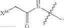 Fig. 409 - Novel Conjugates of CC-1065 Analogs and Bifunctional Linkers