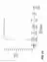Fig. 26 - ANTIGEN BINDING PROTEINS