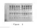 Fig. 03 - Trimaleimide linkers and uses thereof