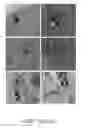 Fig. 14 - CARBON MATERIAL DELIVERY SYSTEMS AND METHODS