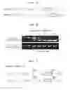 Fig. 08 - Gene therapy vector system and prodrug genes