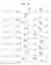 Fig. 13 - Gene therapy vector system and prodrug genes