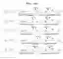 Fig. 20 - Gene therapy vector system and prodrug genes