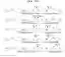 Fig. 22 - Gene therapy vector system and prodrug genes