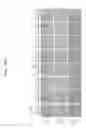 Fig. 25 - Gene therapy vector system and prodrug genes