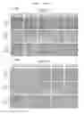 Fig. 34 - Gene therapy vector system and prodrug genes