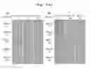 Fig. 83 - Gene therapy vector system and prodrug genes