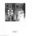 Fig. 02 - Polymeric spinal fusion system including spinal cage
