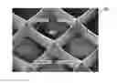 Fig. 01 - Microstructured haptotaxic implant
