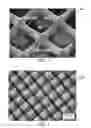 Fig. 10 - Microstructured haptotaxic implant