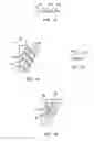 Fig. 05 - Tray for positioning elongated objects, in particular syringe bodies or syringes